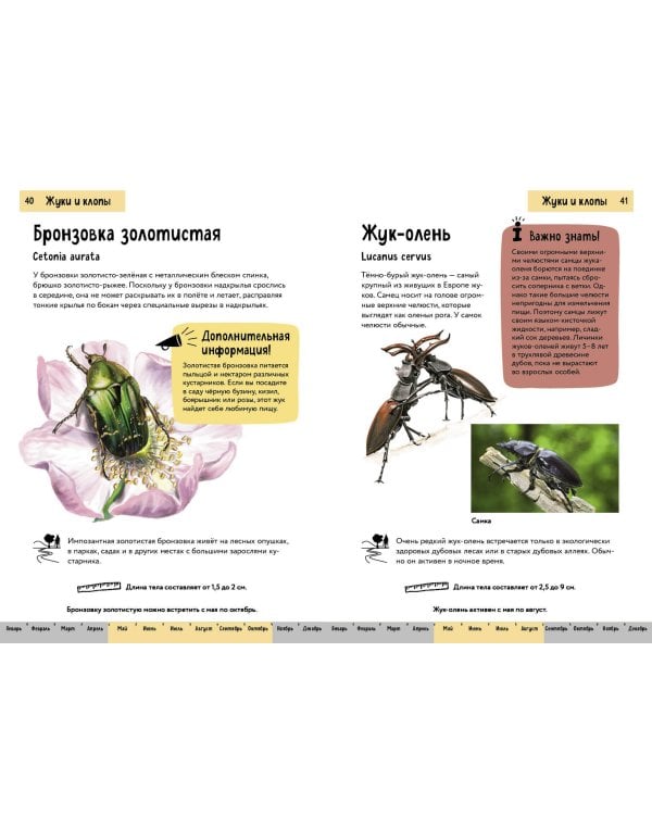 Насекомые. Краткий иллюстрированный справочник