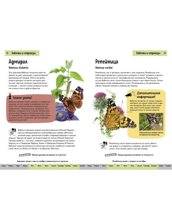 Насекомые. Краткий иллюстрированный справочник