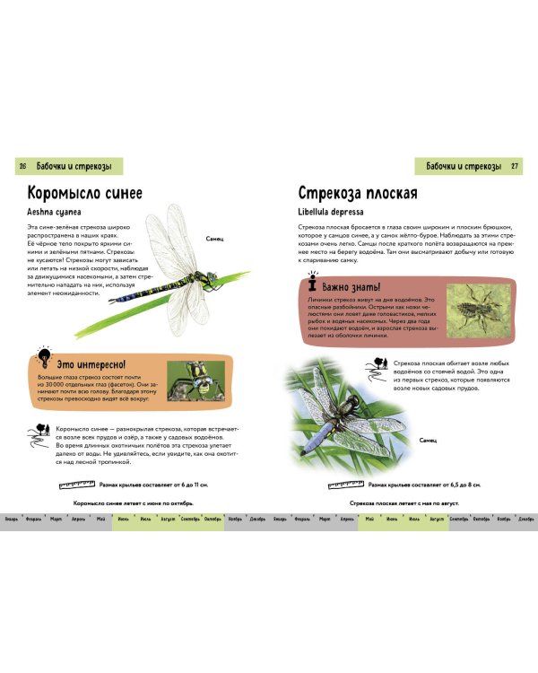Насекомые. Краткий иллюстрированный справочник