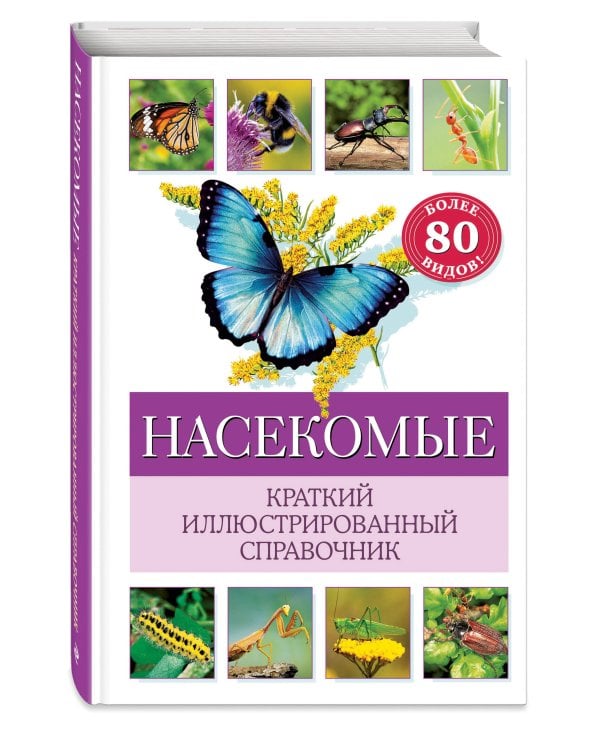 Насекомые. Краткий иллюстрированный справочник