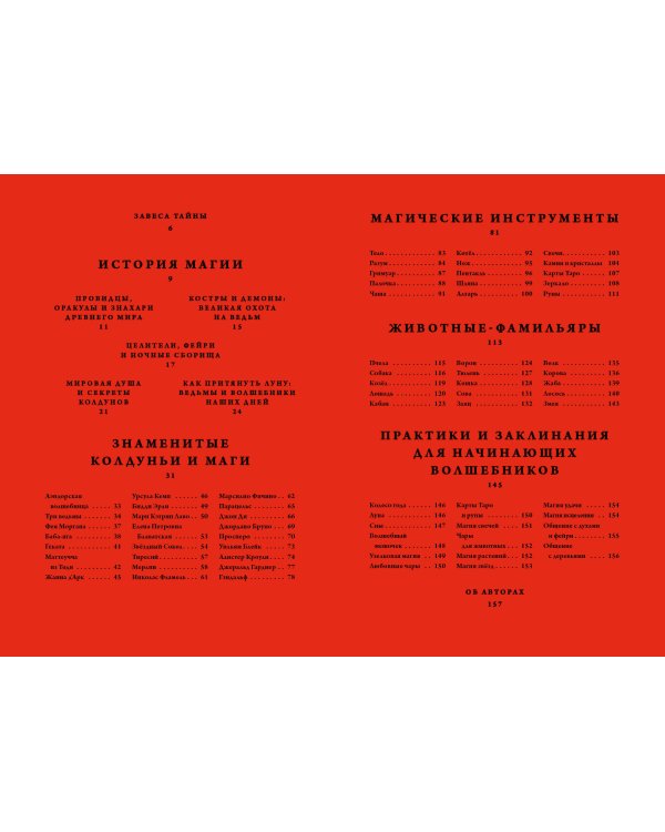 Ведьмы и волшебники. Книга знаний и защиты