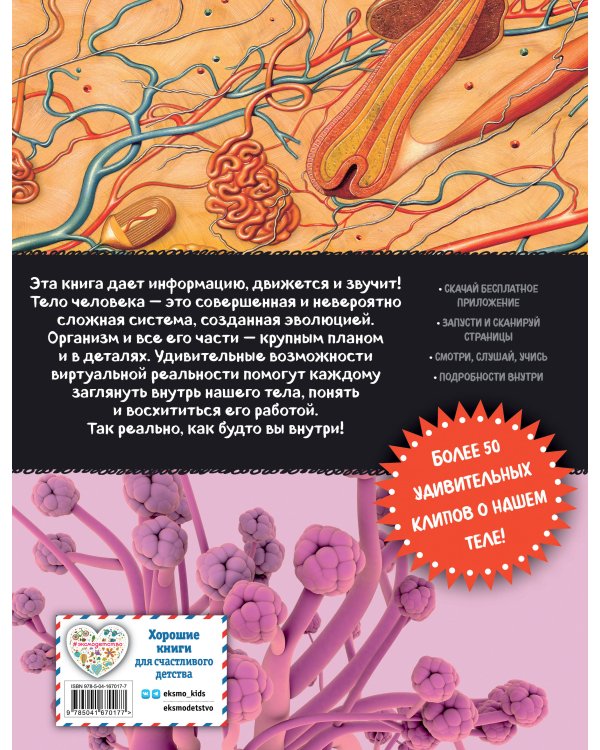 Тело человека. Виртуальная реальность_С