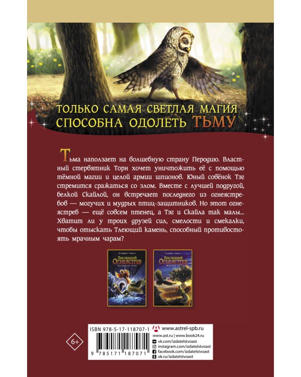 Последний огнеястреб. Тлеющий камень