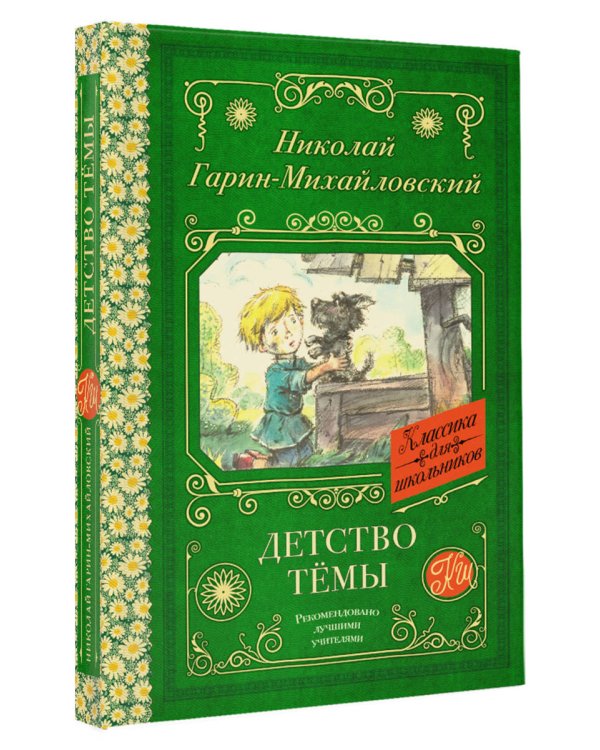 Детство Тёмы