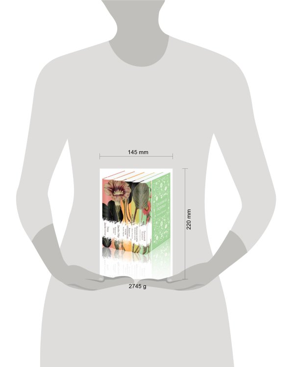 Набор "Нежный вьюнок" (из 5-ти романов: "Эмма", "Джейн Эйр", "Вдали от обезумевшей толпы", "Маленькая хозяйка Большого дома", "Грозовой перевал")