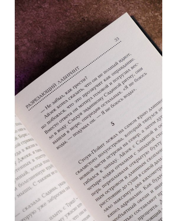 Разрезающий лабиринт