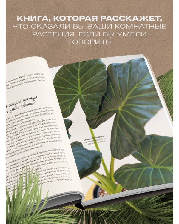 Секреты комнатных джунглей. О чем молчат растения и как понять, что им нужно на самом деле