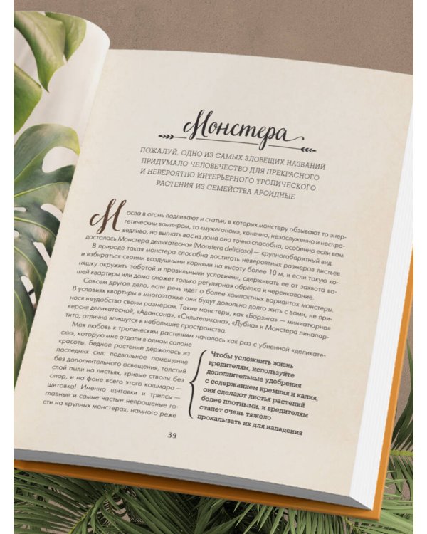 Секреты комнатных джунглей. О чем молчат растения и как понять, что им нужно на самом деле