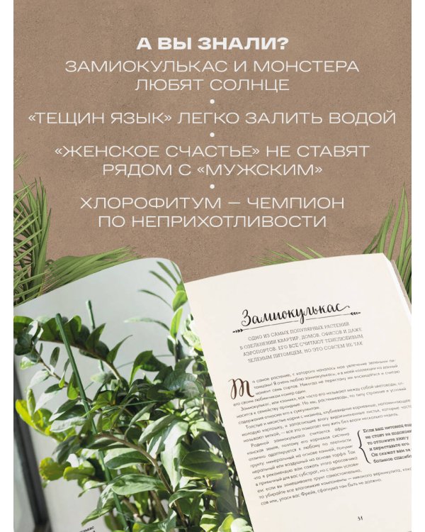 Секреты комнатных джунглей. О чем молчат растения и как понять, что им нужно на самом деле