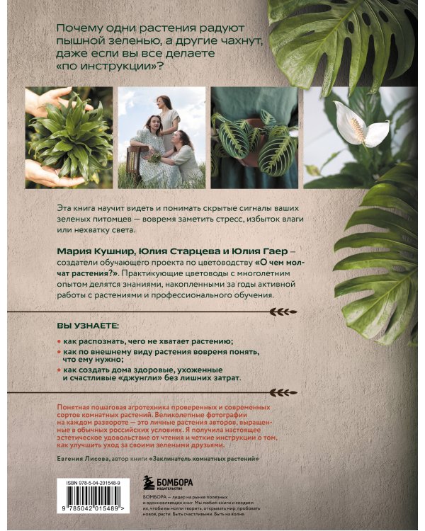 Секреты комнатных джунглей. О чем молчат растения и как понять, что им нужно на самом деле