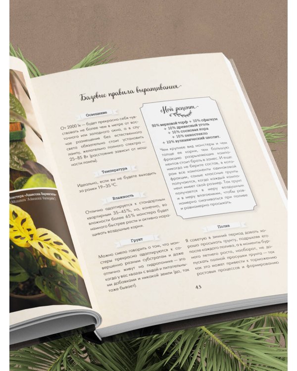 Секреты комнатных джунглей. О чем молчат растения и как понять, что им нужно на самом деле