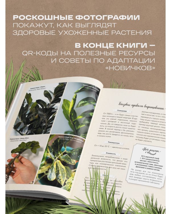 Секреты комнатных джунглей. О чем молчат растения и как понять, что им нужно на самом деле