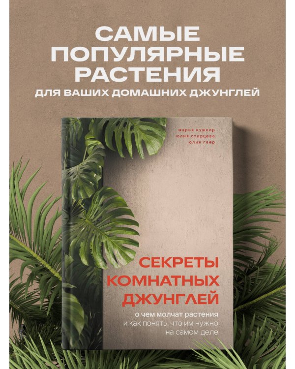 Секреты комнатных джунглей. О чем молчат растения и как понять, что им нужно на самом деле