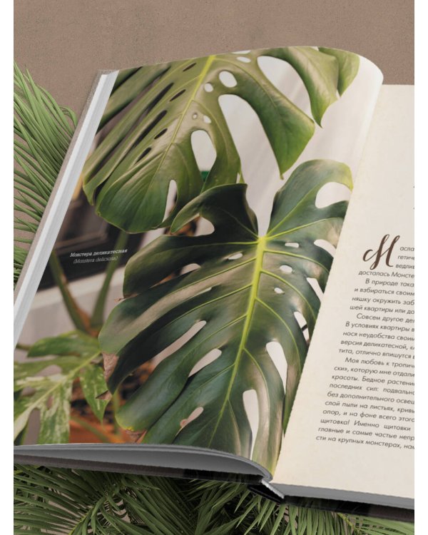 Секреты комнатных джунглей. О чем молчат растения и как понять, что им нужно на самом деле
