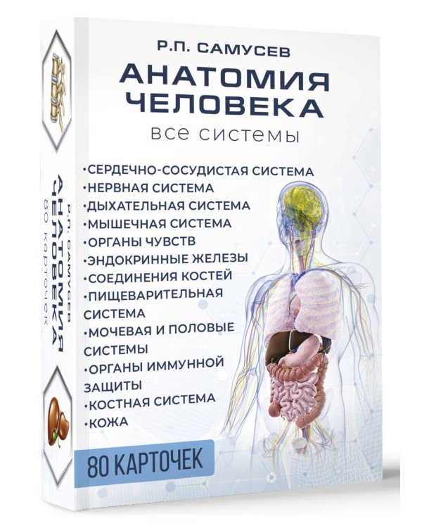 Анатомия человека. 80 карточек. Все системы