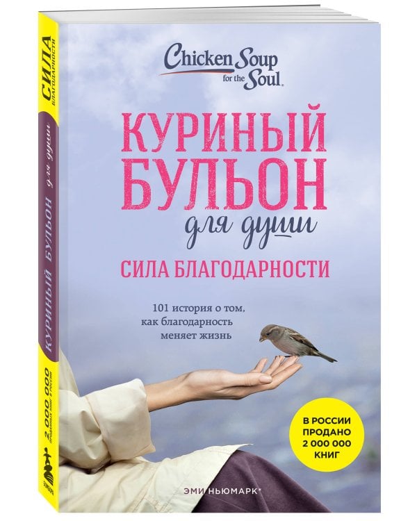Куриный бульон для души: Сила благодарности. 101 история о том, как благодарность меняет жизнь