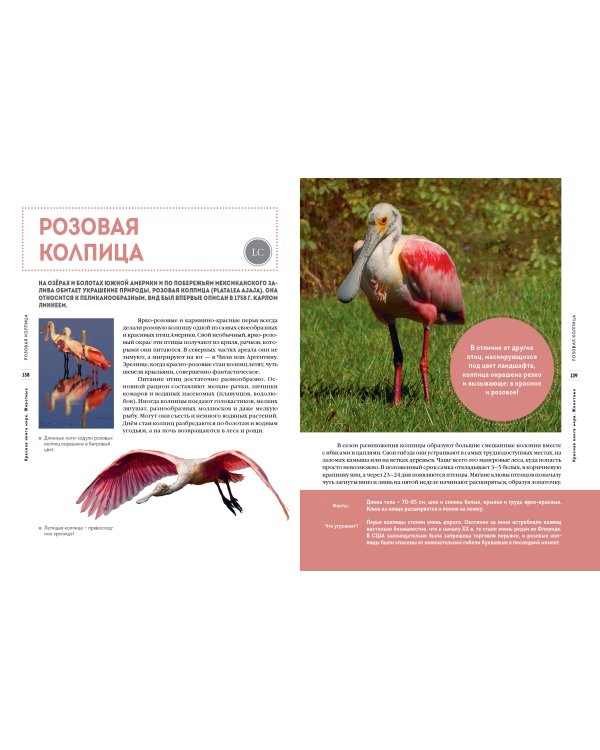 Красная книга мира. Животные