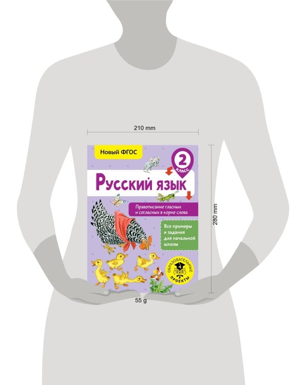 Русский язык. Правописание гласных и согласных в корне слова. 2 класс