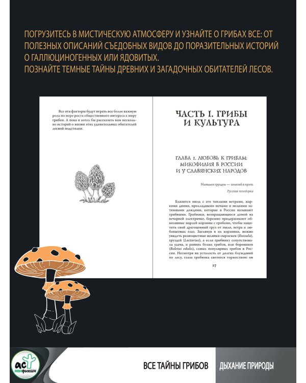 ЗаГРИБные истории. Тайны подземного царства