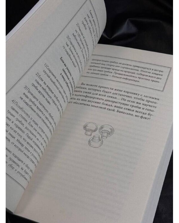 ЗаГРИБные истории. Тайны подземного царства