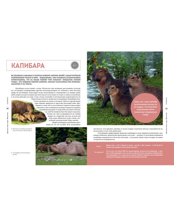 Красная книга мира. Животные