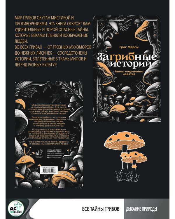 ЗаГРИБные истории. Тайны подземного царства