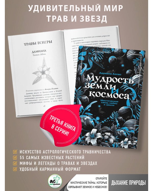 Мудрость земли и космоса. Мистическая связь небес и земли