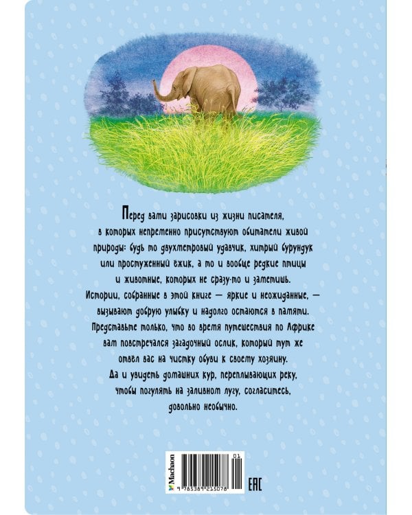 Зачем белке хвост. Рассказы