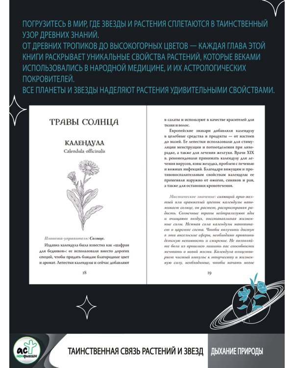 Мудрость земли и космоса. Мистическая связь небес и земли