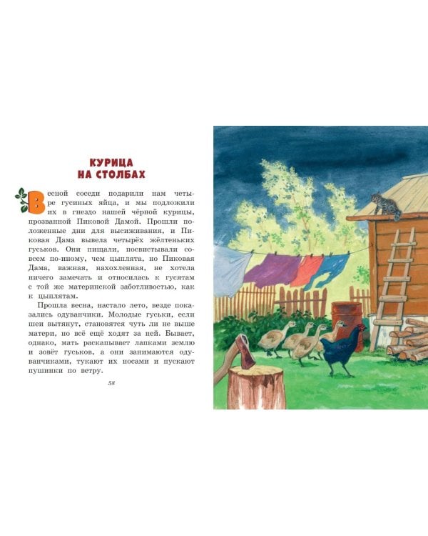 Лисичкин хлеб. Рассказы о животных (ил. С. Ярового)