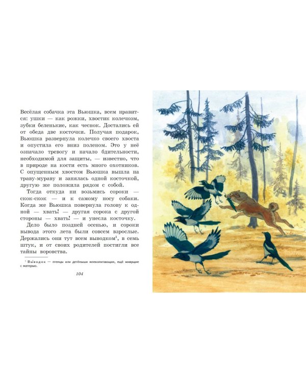 Лисичкин хлеб. Рассказы о животных (ил. С. Ярового)