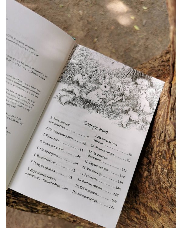 Книжный лес