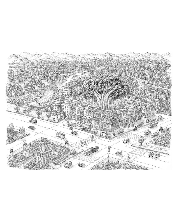 Книжный лес