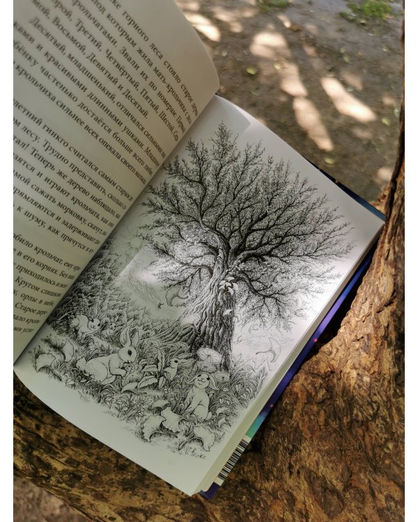 Книжный лес