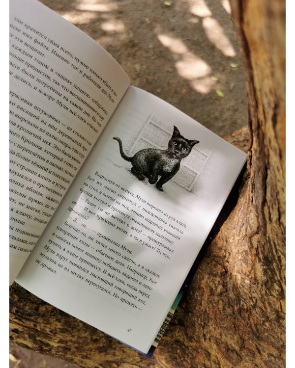 Книжный лес