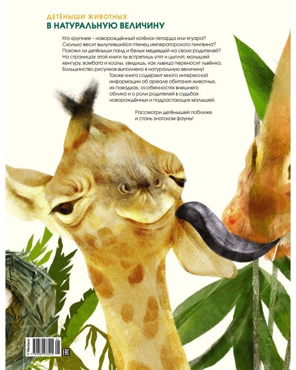 Детёныши животных в натуральную величину