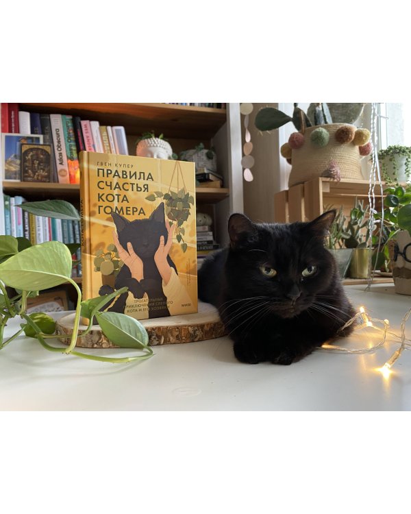 Правила счастья кота Гомера. Трогательные приключения слепого кота и его хозяйки