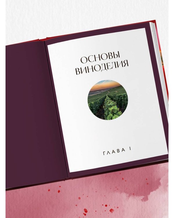 Вино к еде. Искусство идеального сочетания