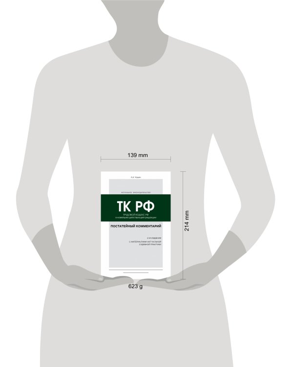 Постатейный комментарий к Трудовому кодексу РФ 2-е издание