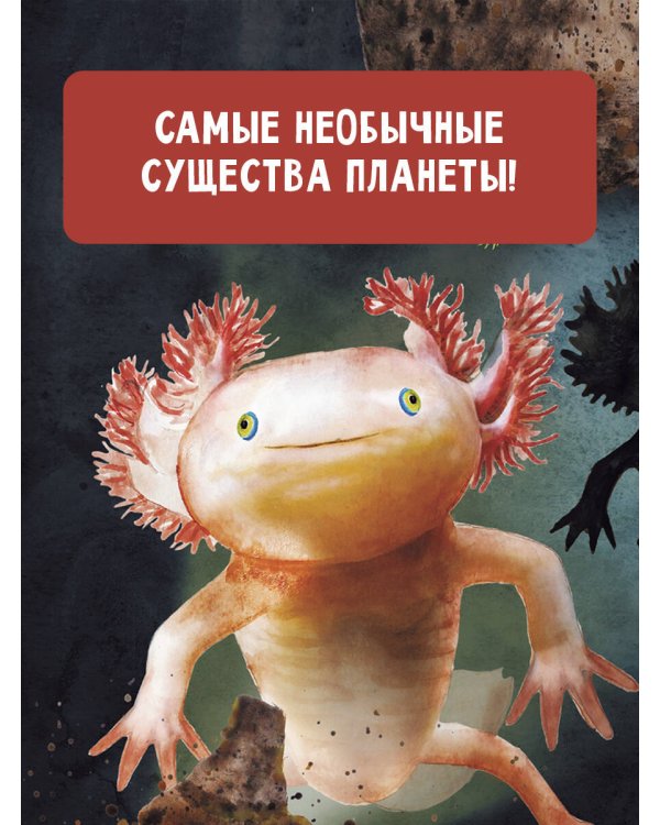 Поразительные животные, которые выглядят как пришельцы