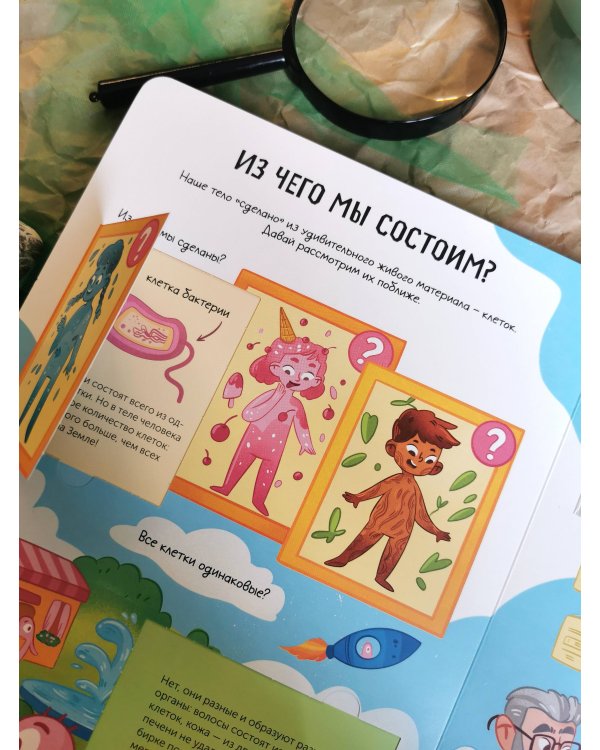 Тело человека. Открывай и изучай!