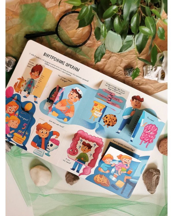 Тело человека. Открывай и изучай!