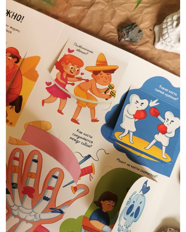 Тело человека. Открывай и изучай!