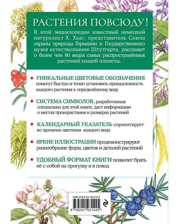 Растения. Краткий иллюстрированный справочник