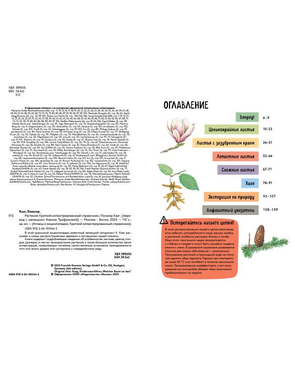 Растения. Краткий иллюстрированный справочник
