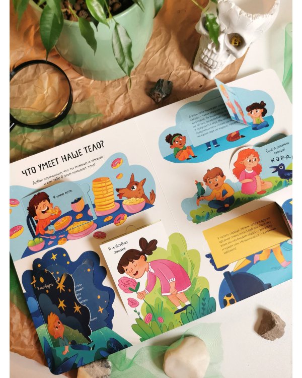 Тело человека. Открывай и изучай!