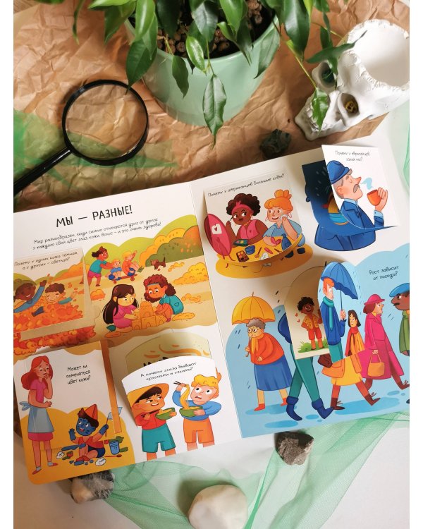 Тело человека. Открывай и изучай!