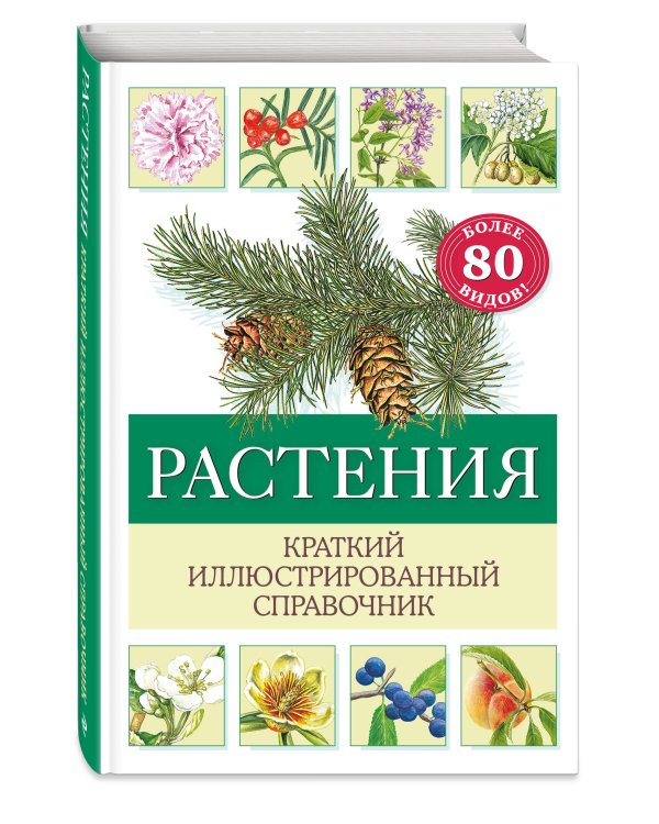 Растения. Краткий иллюстрированный справочник