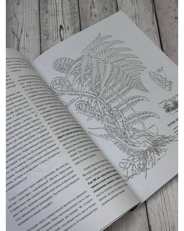 Ботаника. Атлас-раскраска