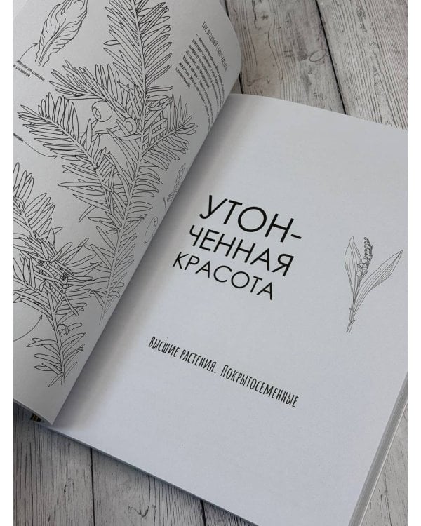 Ботаника. Атлас-раскраска